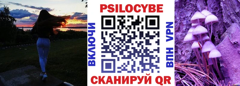 Псилоцибиновые грибы мицелий  Гаврилов-Ям 